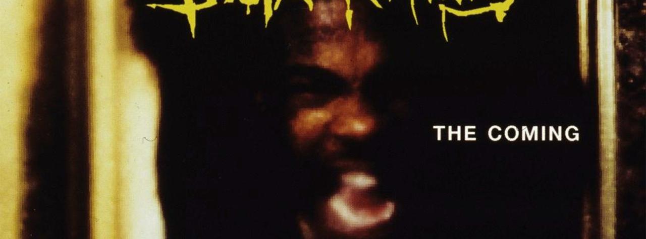 busta rhymes / the coming 未開封 minnade-ganbaro.jp